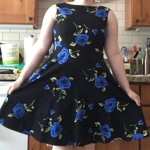 Fit and Flare Black and Blue Dress